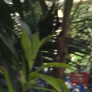 Meet your Posher, Lily